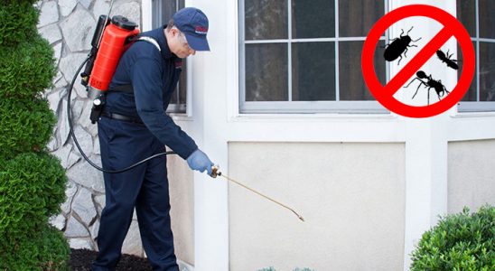 Haymana Tahtakurusu İlaçlama böcek ilaçlama ve haşere kontrolü — ilaclama-tr.com